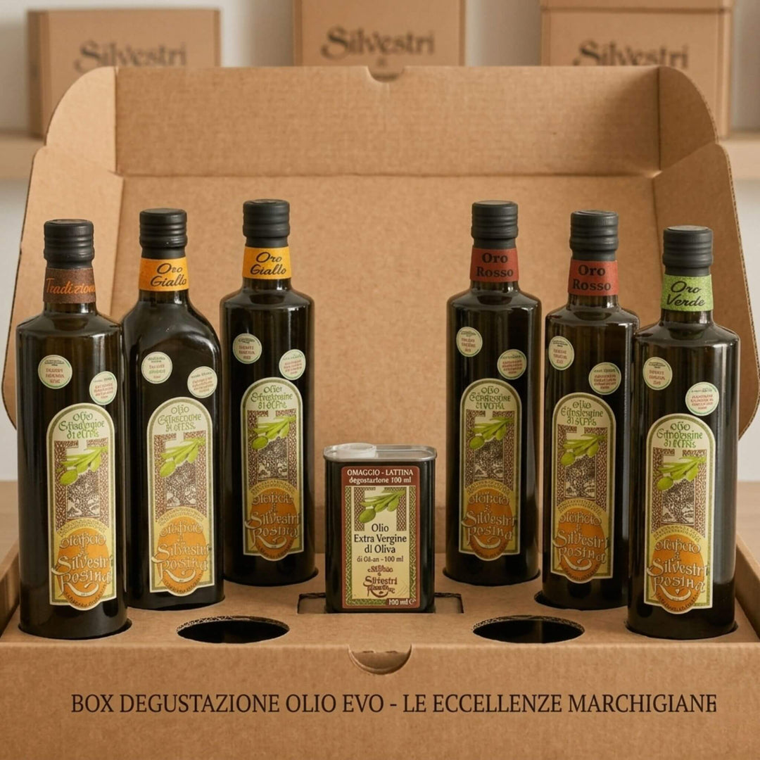 box-degustazione-olio-extravergine-di-oliva-marchigiano-6-bottiglie-miste-silvestri