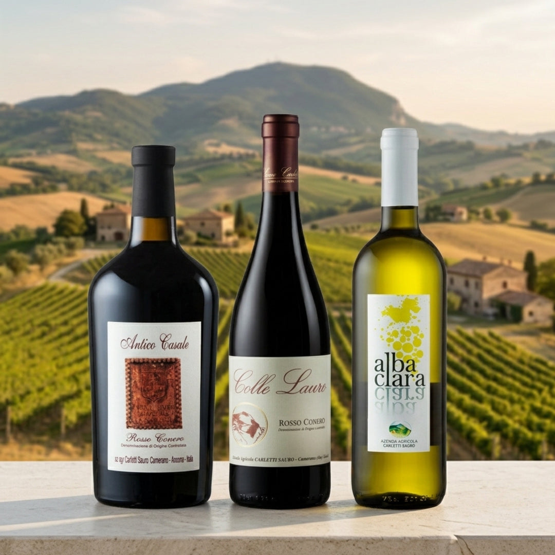 box-degustazione-vini-marchigiani-carletti-rosso-conero-doc-vino-bianco-malvasia-trebbiano-sapori-marchigiani