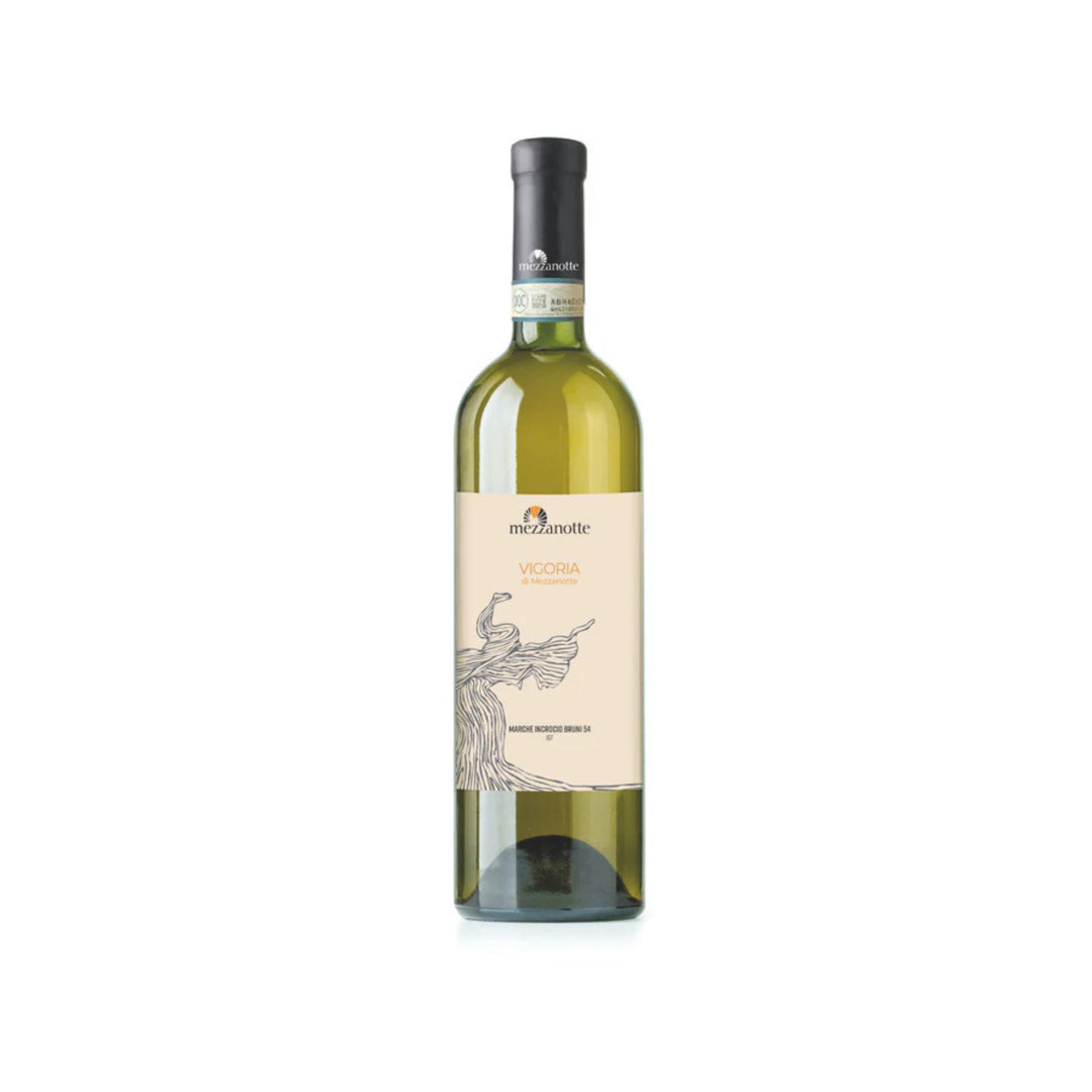 vino-marche-bianco-igt-incrocio-bruni-54-vigoria-mezzanotte-sapori-marchigiani