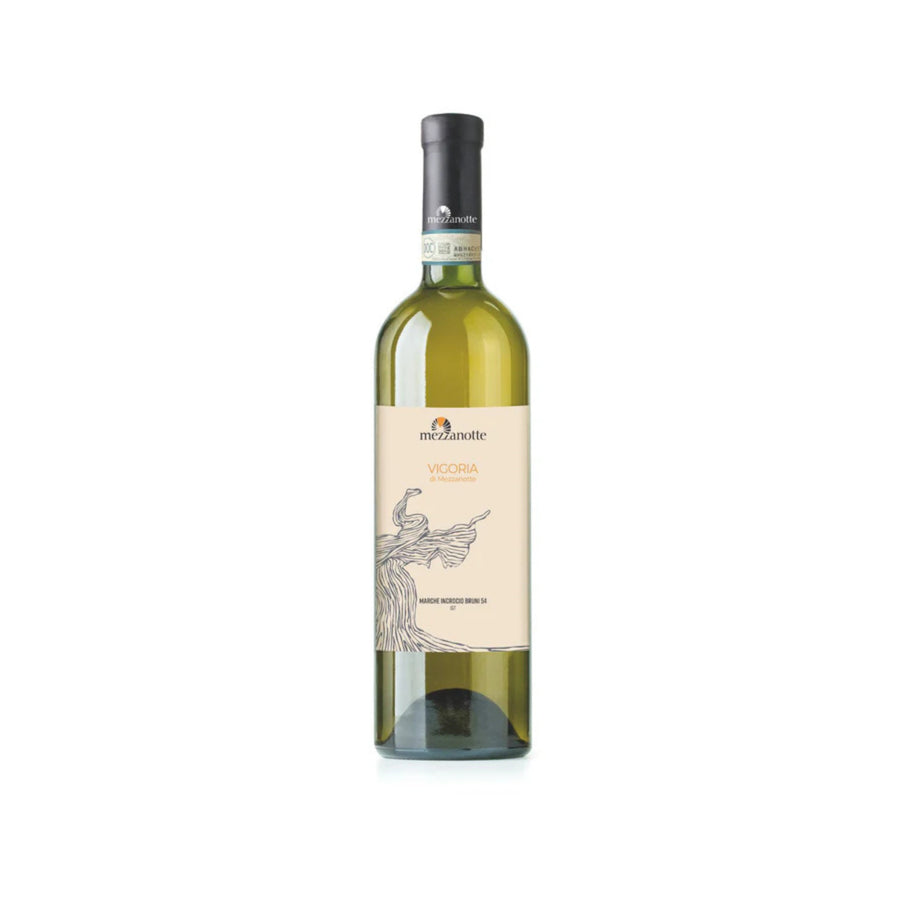vino-marche-bianco-igt-incrocio-bruni-54-vigoria-mezzanotte-sapori-marchigiani