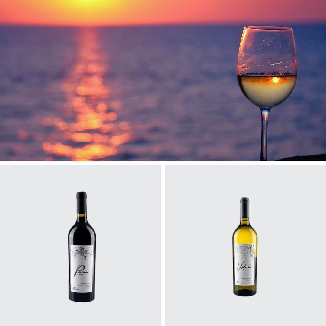 cartone-degustazione-vini-marchigiani-selezione-mezzanotte-spedizione-gratis