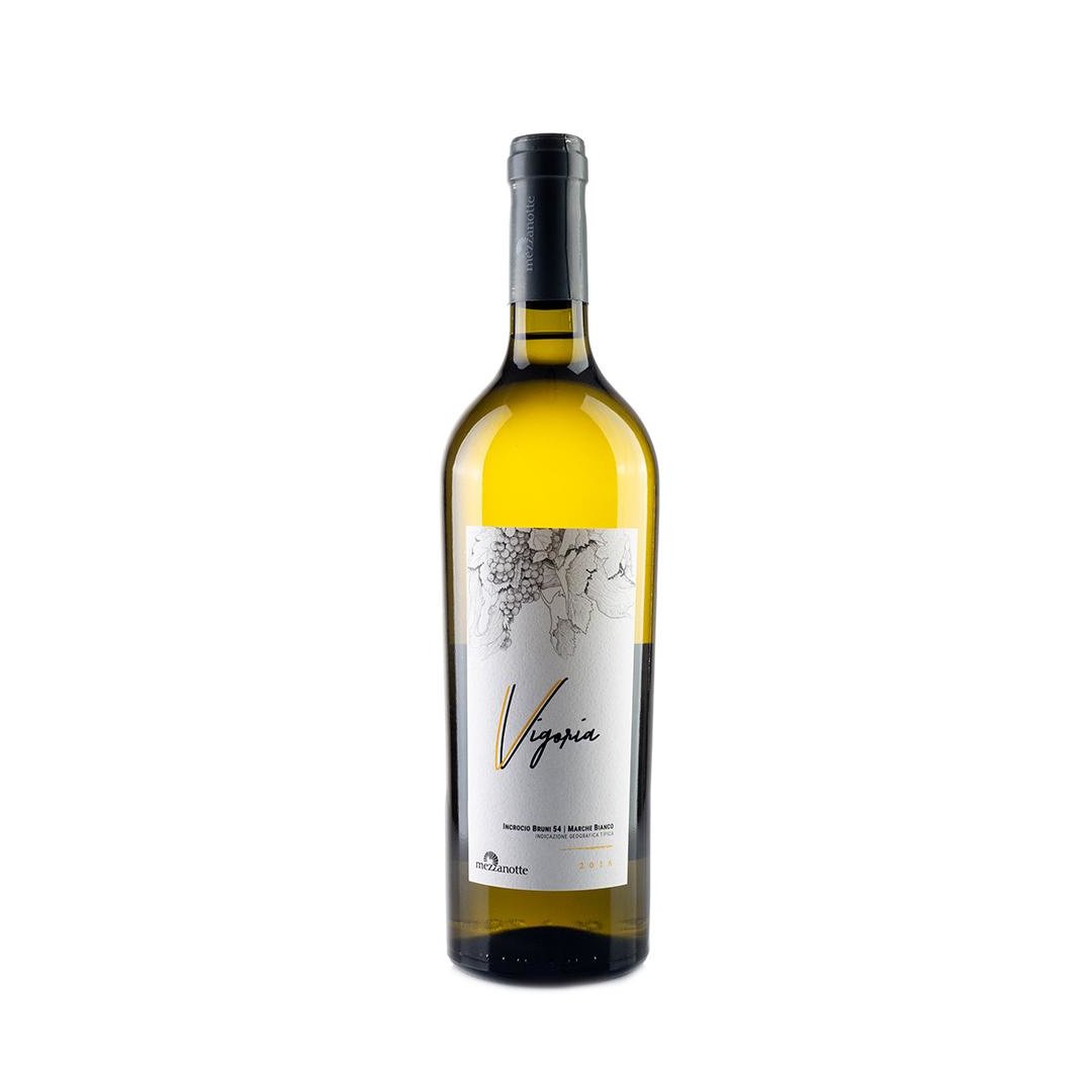 marche-bianco-IGT-vigoria-incrocio-bruni-54-in-purezza-bottiglie-da-75-cl